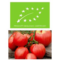 Pomidory z Sycylii_BIO_odmiana: MINI BAWOLE SERCA, 0,5 kg