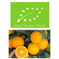 Pomarańcze z Sycylii_BIO - odmiana VALENCIA, 5kg (drobne na sok)