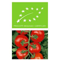 Pomidory z Sycylii_BIO, odmiana GRAPOLLO_0,5kg