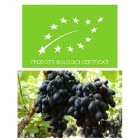 Winogrona ciemne z Sycylii_BIO-odmiana BEZPESTKOWA, 0,5 kg