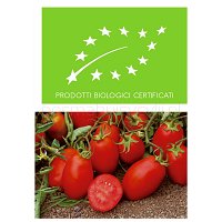 Pomidory z Sycylii_BIO, odmiana OVALE 0,5kg