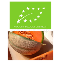 Melon z Sycylii_BIO - odmiana CANTALOUPE, 1 szt (ok.1kg)